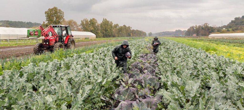 image1170x530cropped-1-1024x464 Plus de 866 millions d’agriculteurs et paysans nourrissent le monde